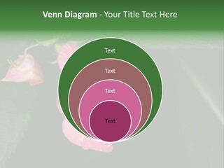 Botanical Leafs Purple PowerPoint Template