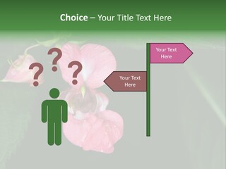 Botanical Leafs Purple PowerPoint Template