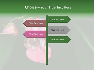 Botanical Leafs Purple PowerPoint Template