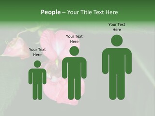 Botanical Leafs Purple PowerPoint Template