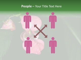 Botanical Leafs Purple PowerPoint Template