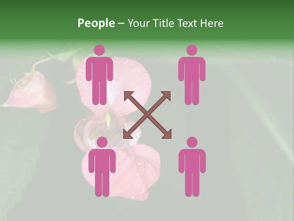 Botanical Leafs Purple PowerPoint Template