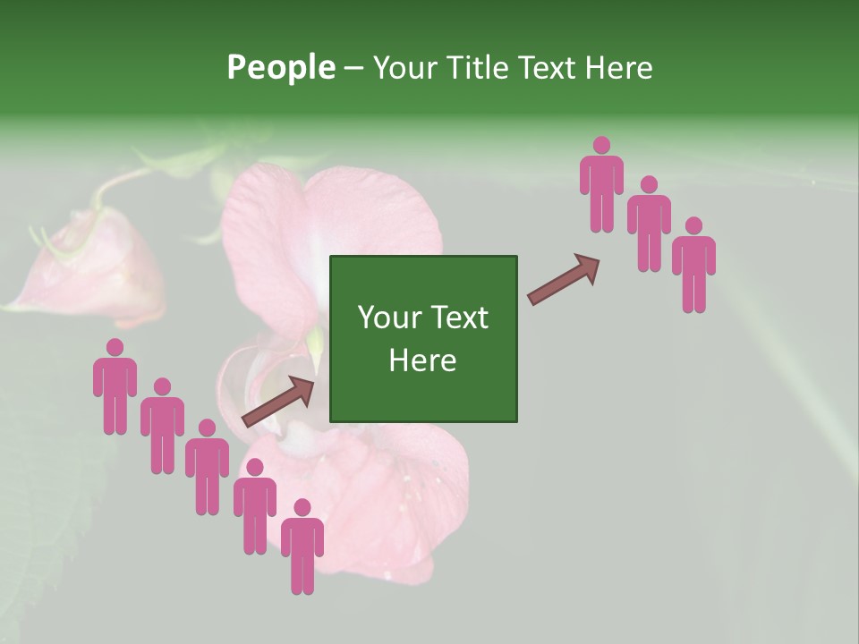 Botanical Leafs Purple PowerPoint Template