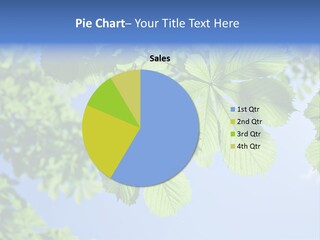 Season Flourishing Vein PowerPoint Template