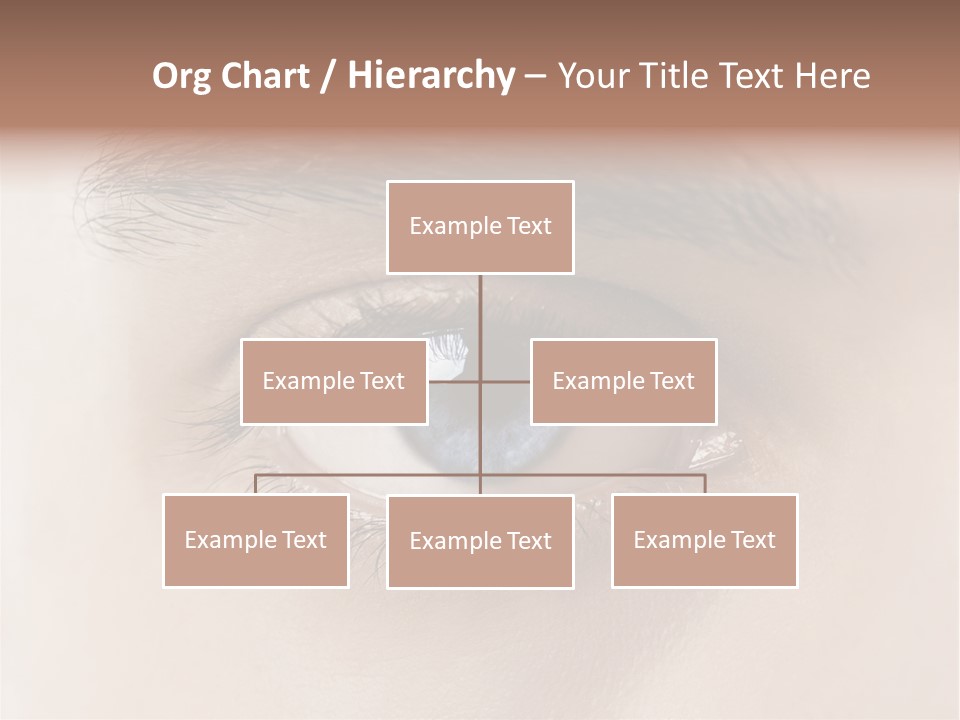 Male Visual Optical PowerPoint Template