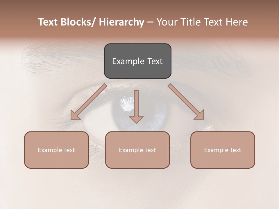 Male Visual Optical PowerPoint Template