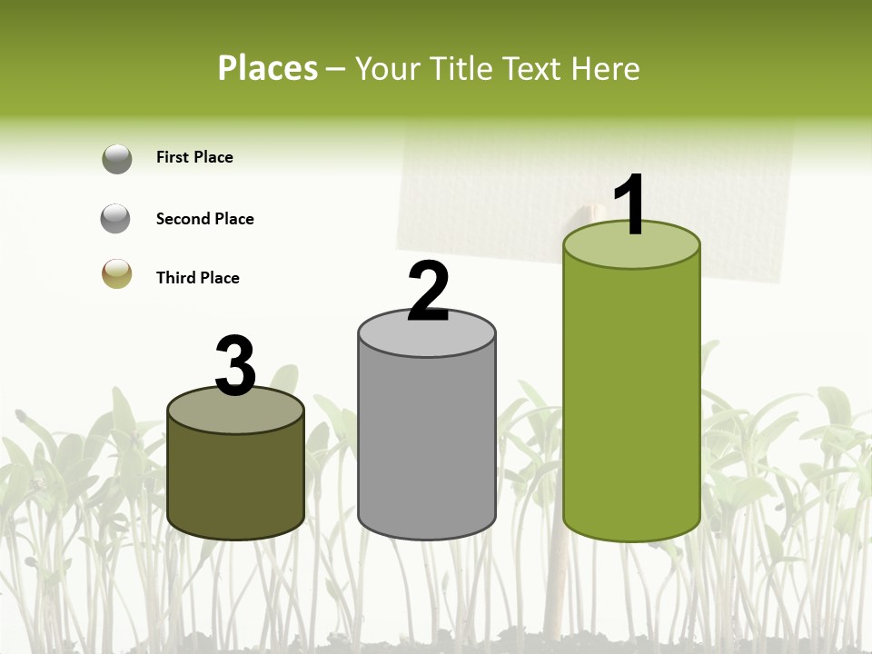 Seed Food Sign PowerPoint Template
