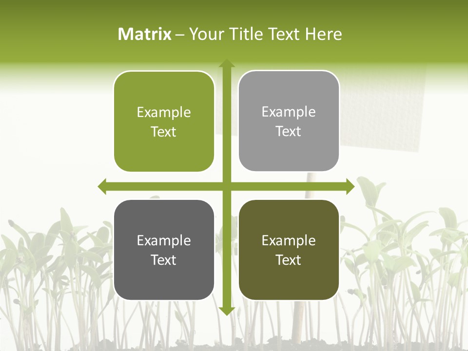 Seed Food Sign PowerPoint Template