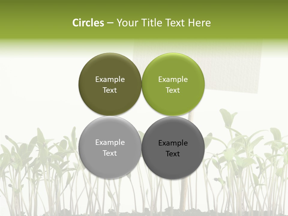 Seed Food Sign PowerPoint Template