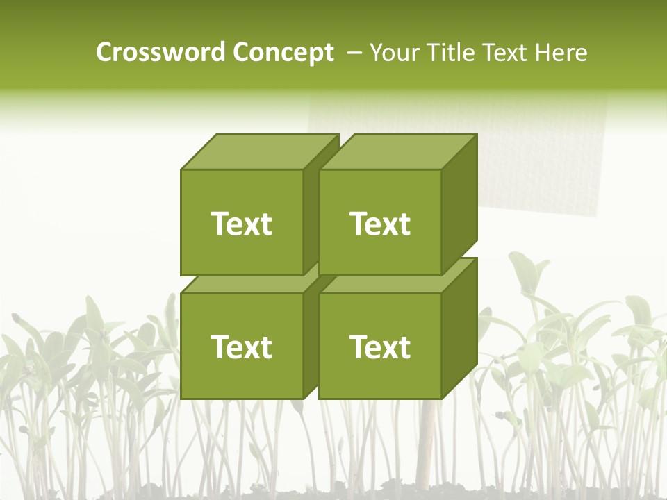 Seed Food Sign PowerPoint Template