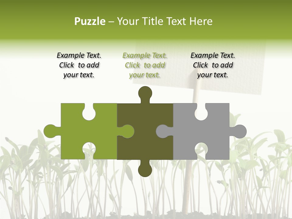 Seed Food Sign PowerPoint Template