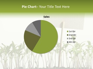 Seed Food Sign PowerPoint Template