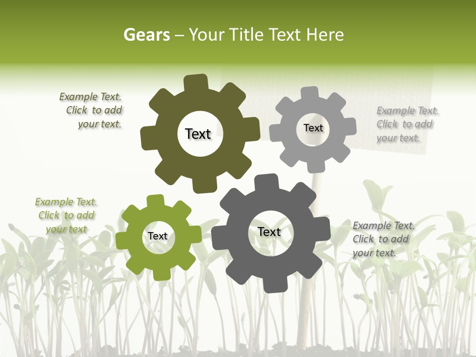 Seed Food Sign PowerPoint Template