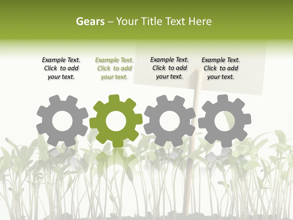 Seed Food Sign PowerPoint Template