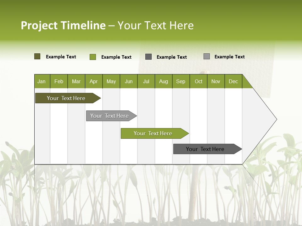 Seed Food Sign PowerPoint Template