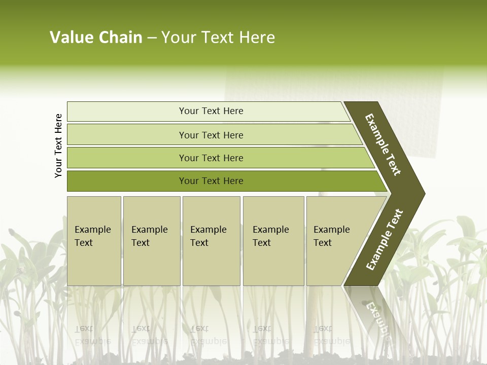 Seed Food Sign PowerPoint Template