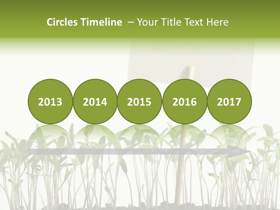 Seed Food Sign PowerPoint Template