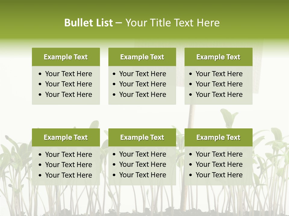 Seed Food Sign PowerPoint Template