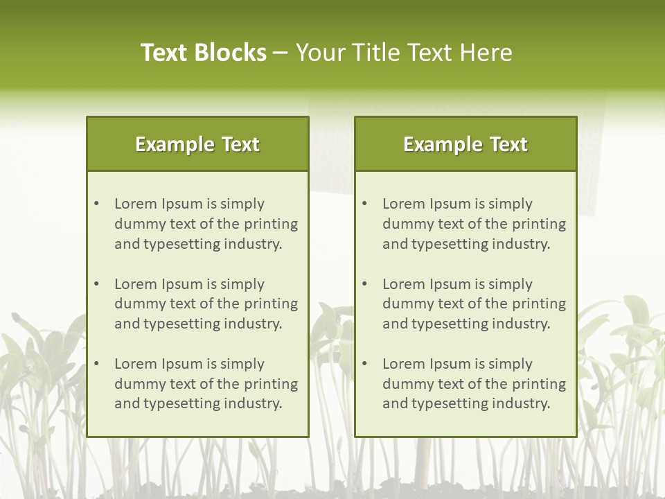 Seed Food Sign PowerPoint Template