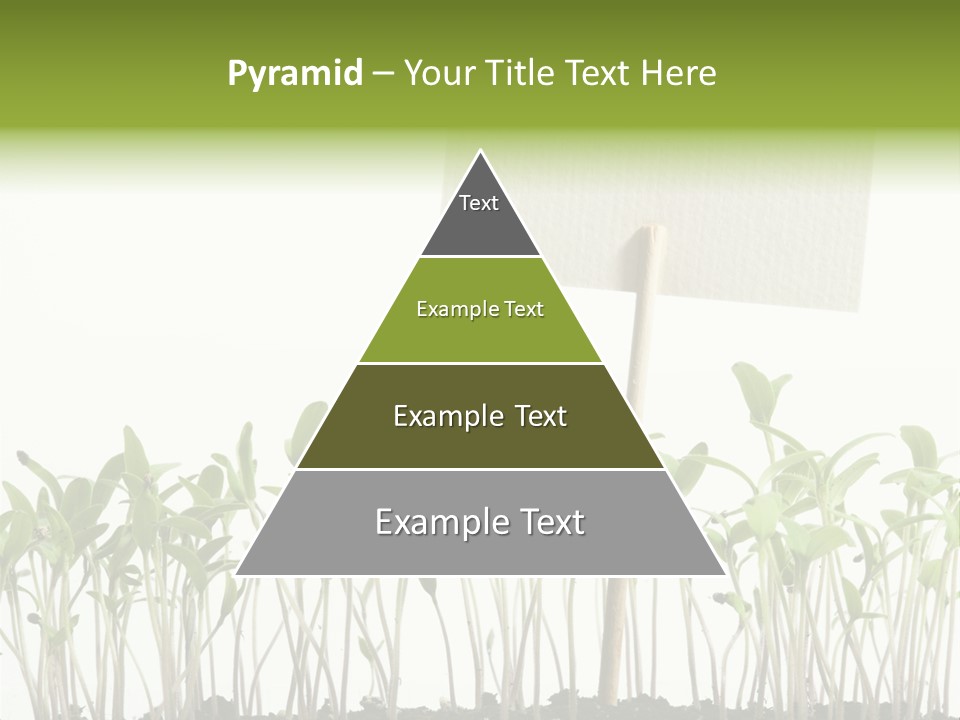 Seed Food Sign PowerPoint Template