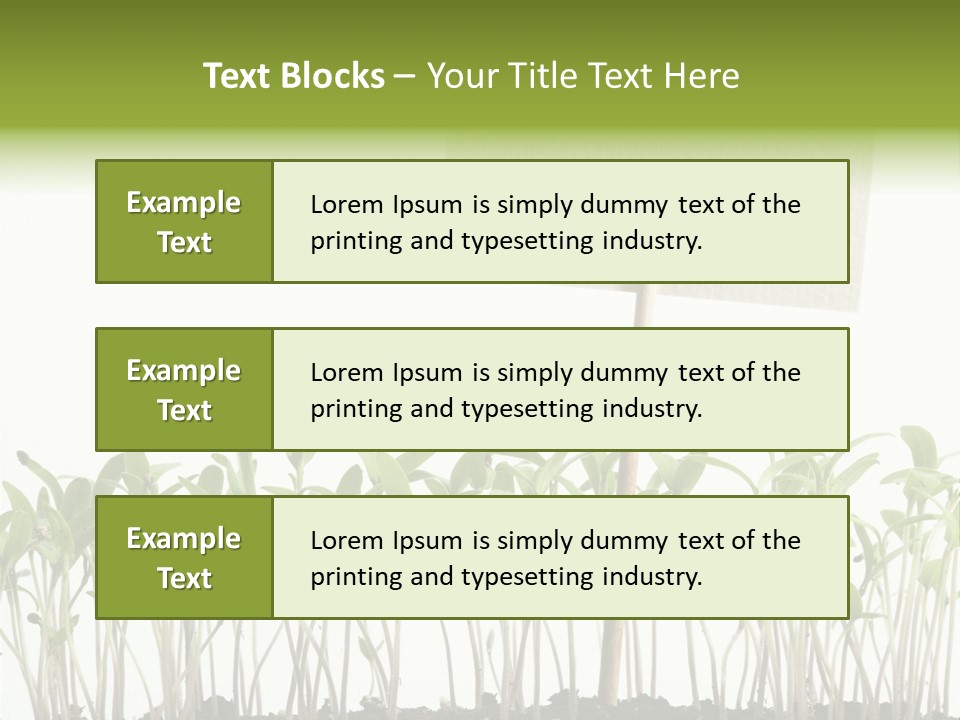 Seed Food Sign PowerPoint Template