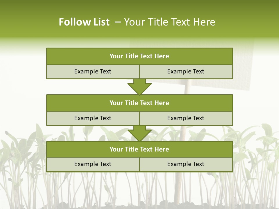 Seed Food Sign PowerPoint Template