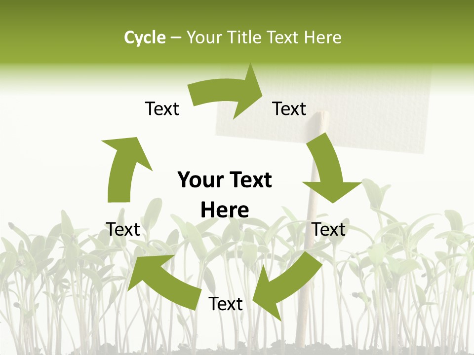 Seed Food Sign PowerPoint Template