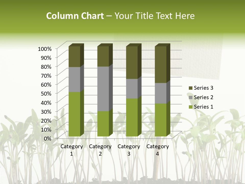 Seed Food Sign PowerPoint Template