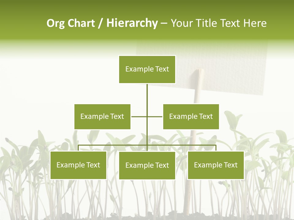 Seed Food Sign PowerPoint Template