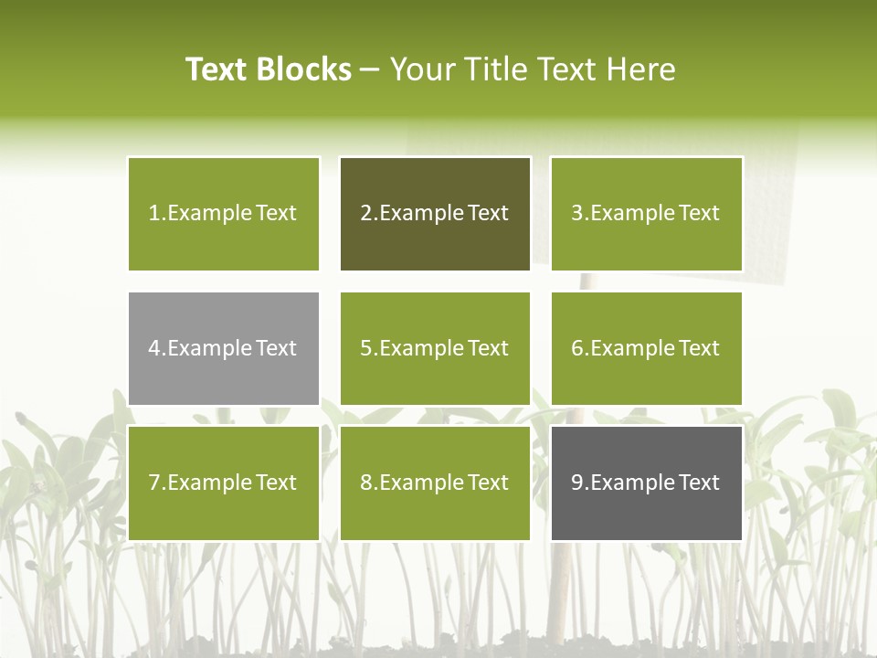 Seed Food Sign PowerPoint Template