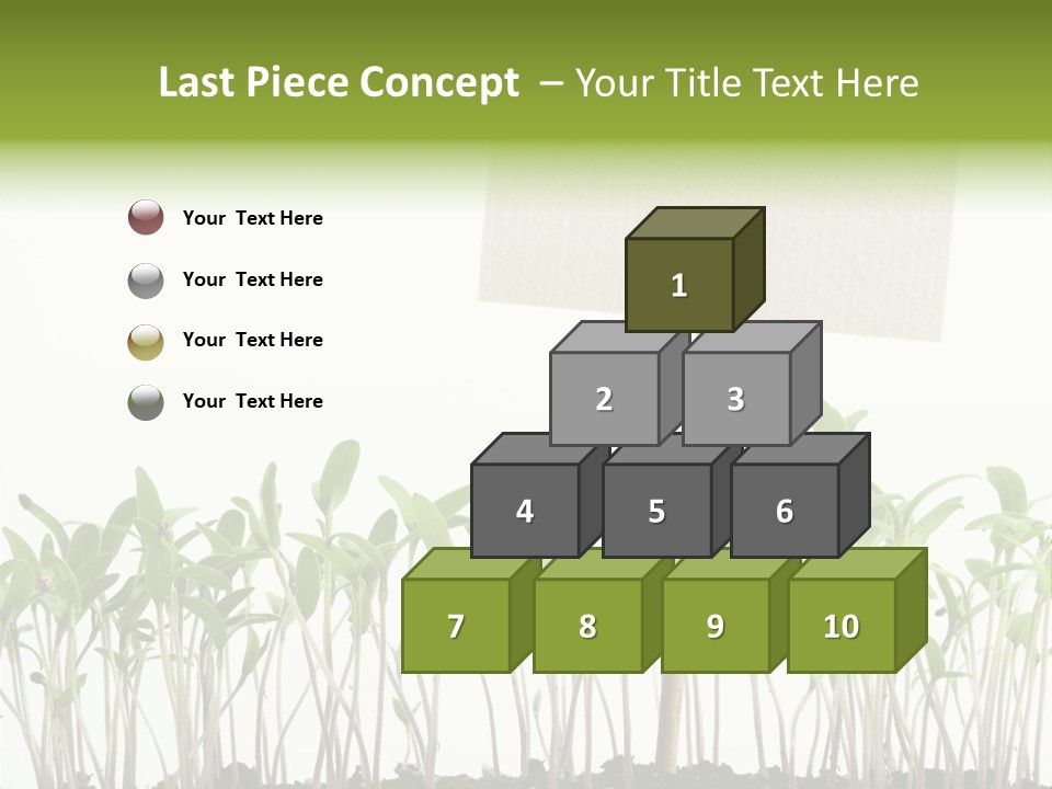 Seed Food Sign PowerPoint Template
