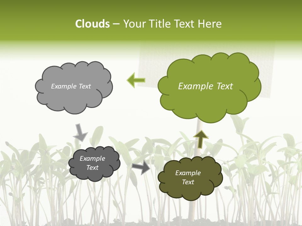 Seed Food Sign PowerPoint Template