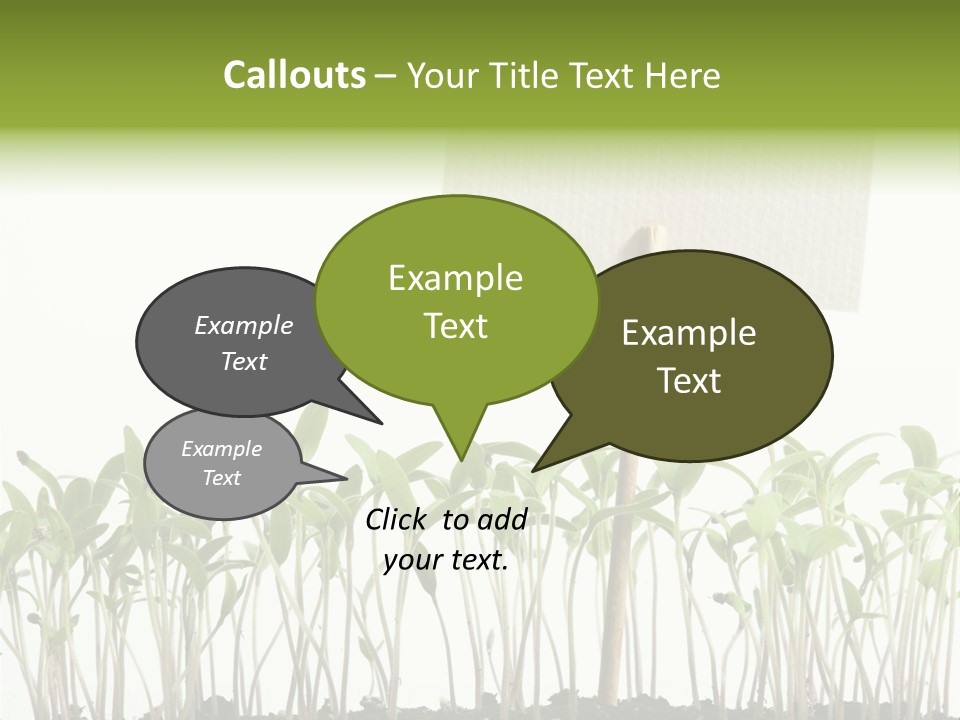 Seed Food Sign PowerPoint Template