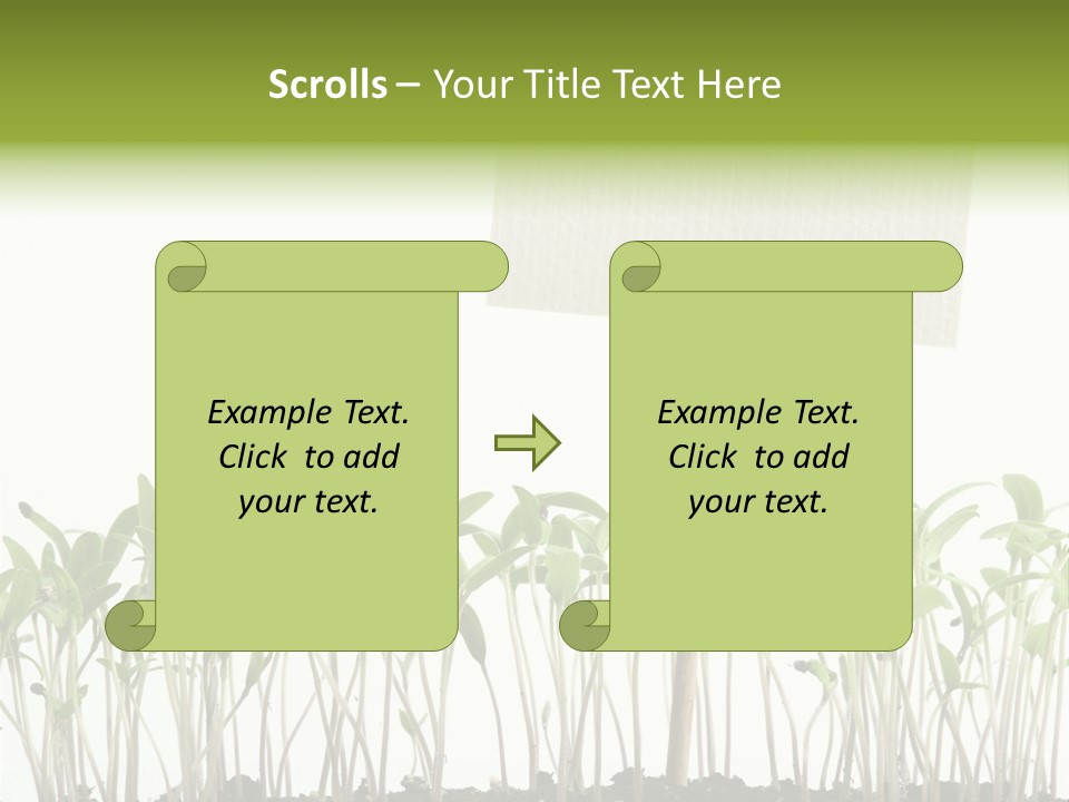Seed Food Sign PowerPoint Template