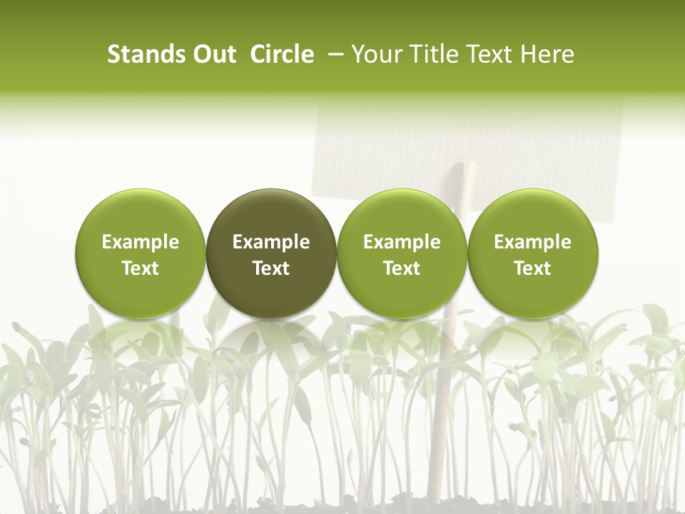 Seed Food Sign PowerPoint Template