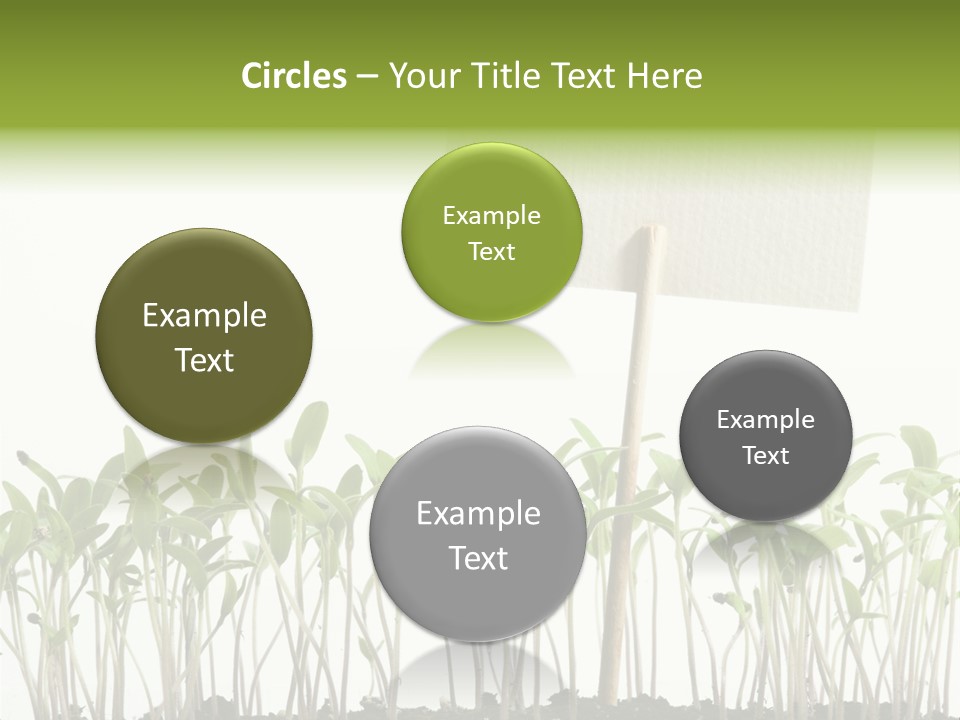 Seed Food Sign PowerPoint Template