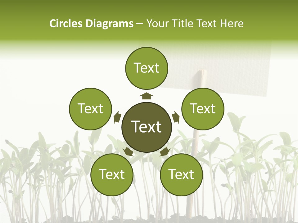 Seed Food Sign PowerPoint Template