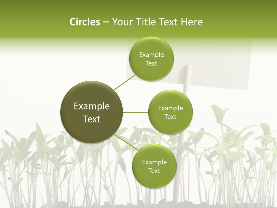 Seed Food Sign PowerPoint Template