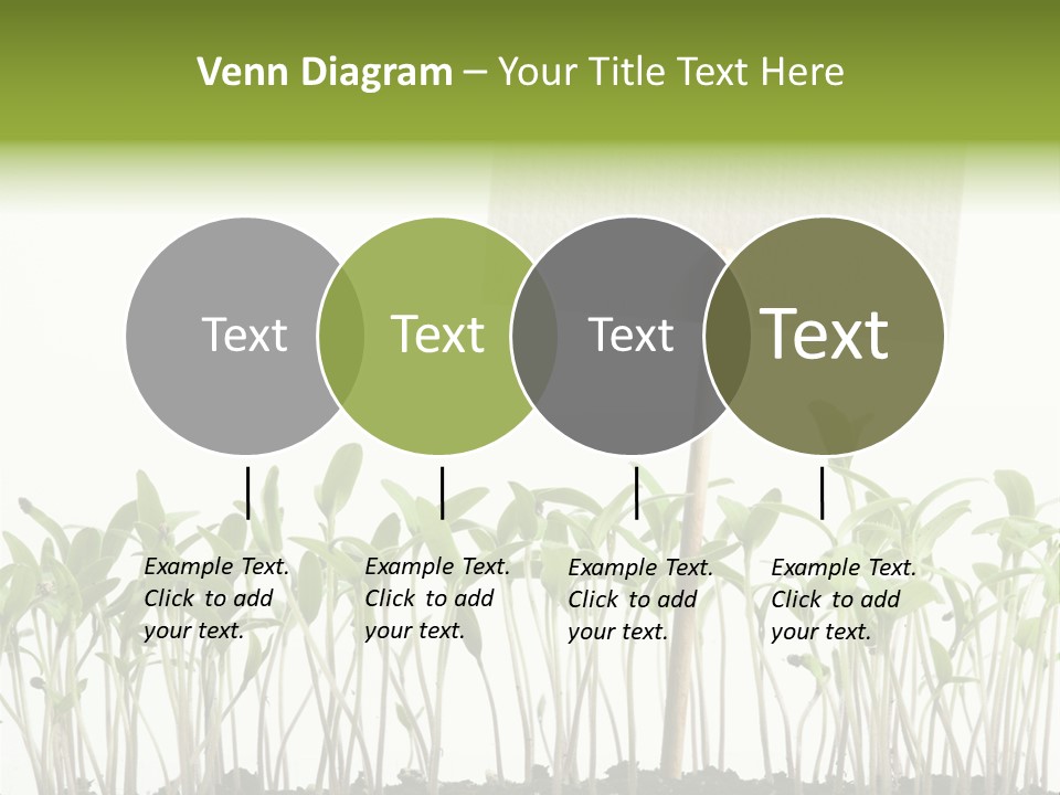 Seed Food Sign PowerPoint Template