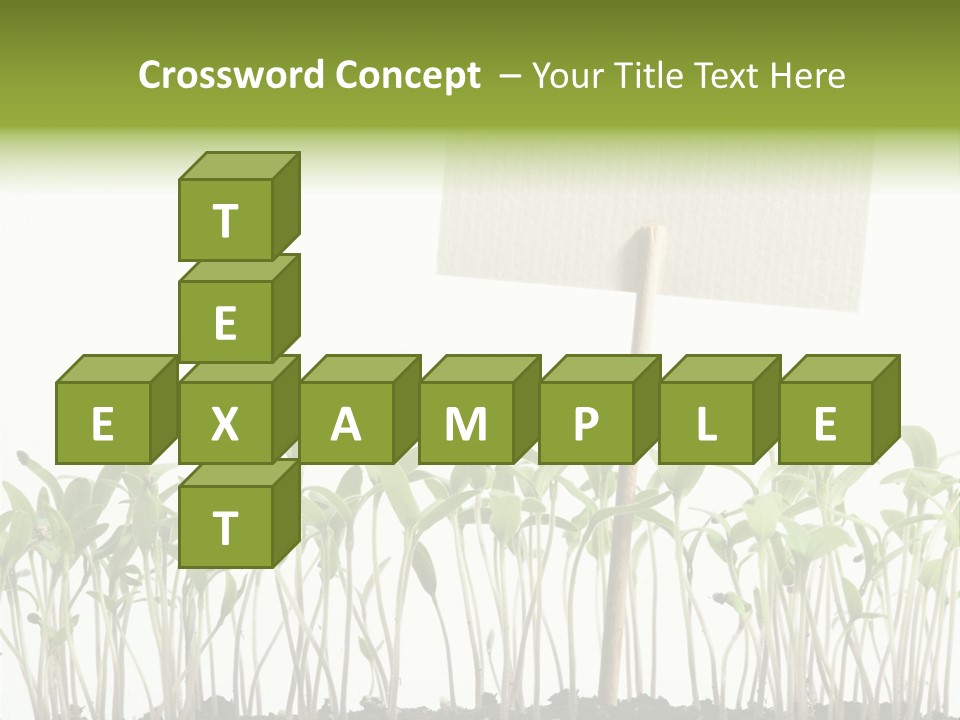 Seed Food Sign PowerPoint Template