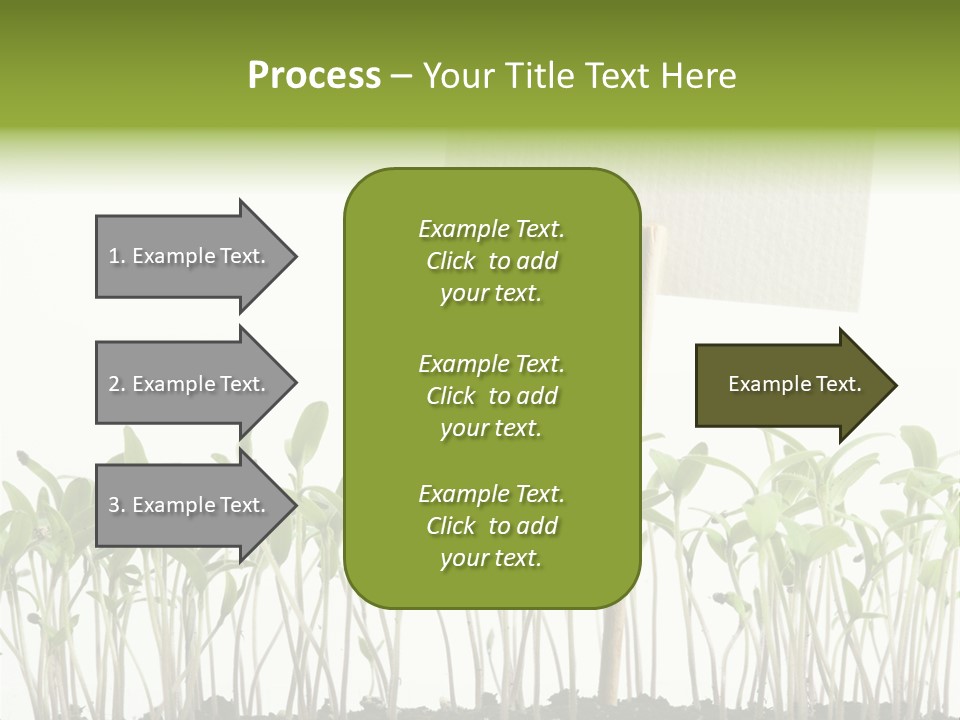 Seed Food Sign PowerPoint Template