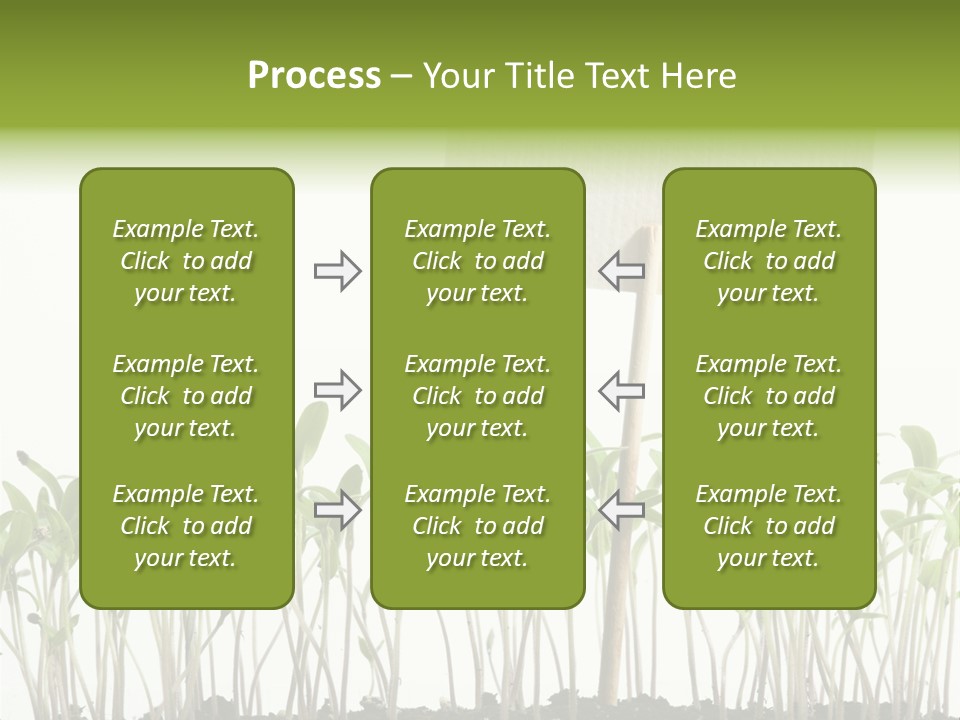 Seed Food Sign PowerPoint Template