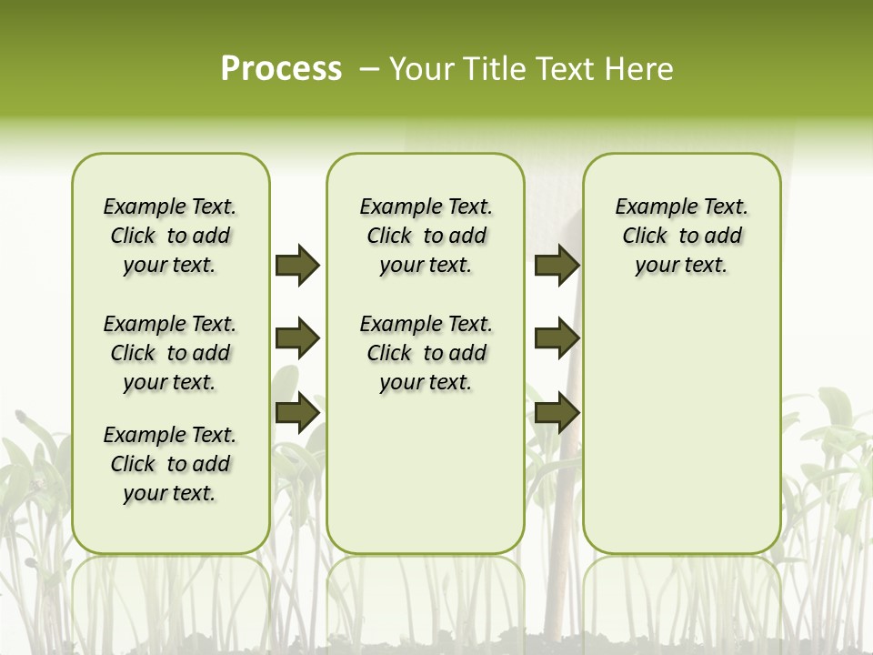 Seed Food Sign PowerPoint Template