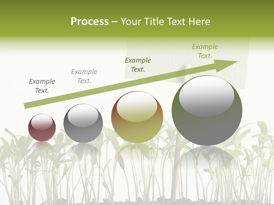 Seed Food Sign PowerPoint Template