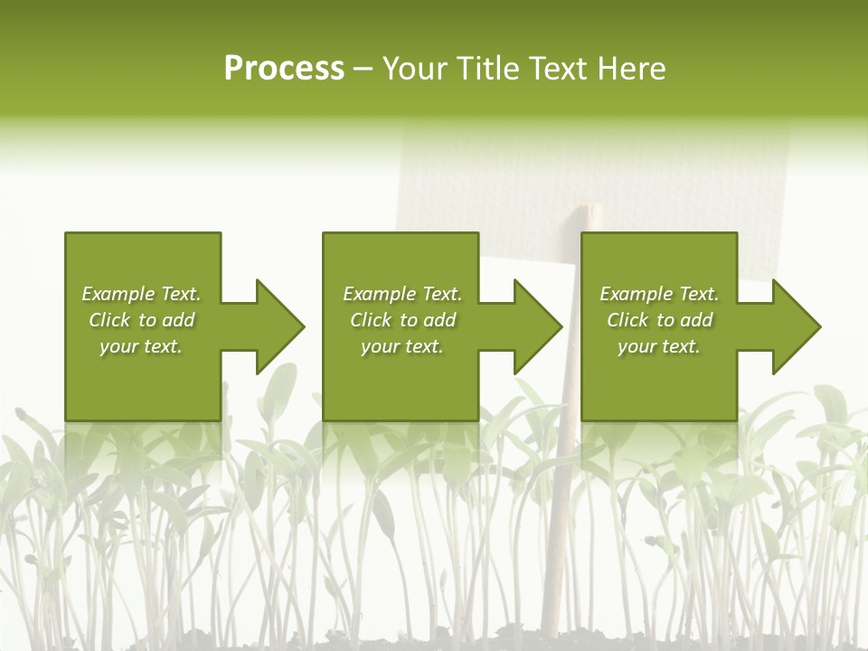 Seed Food Sign PowerPoint Template