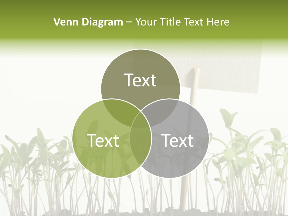 Seed Food Sign PowerPoint Template