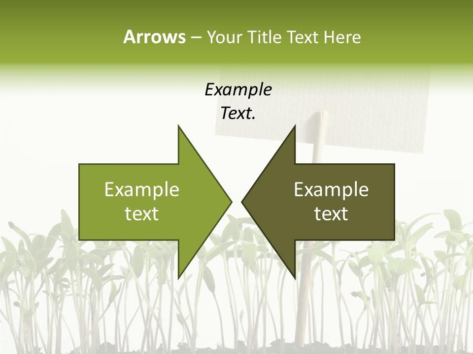 Seed Food Sign PowerPoint Template