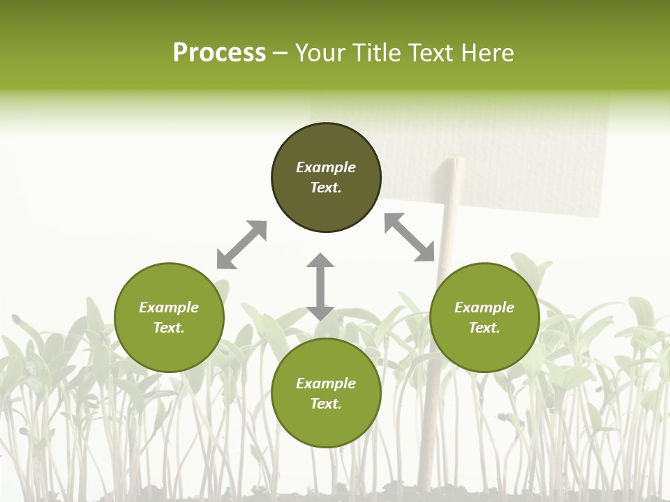 Seed Food Sign PowerPoint Template