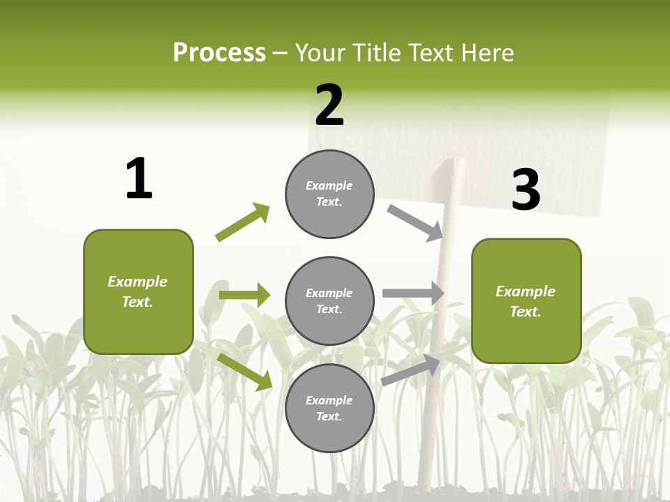 Seed Food Sign PowerPoint Template