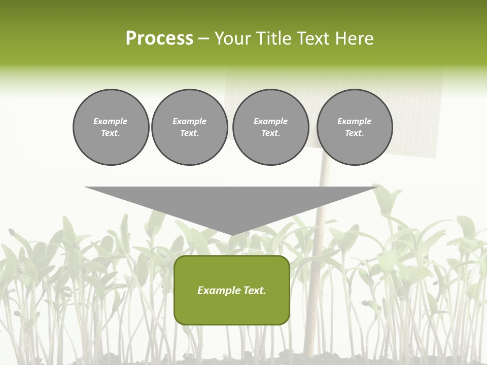 Seed Food Sign PowerPoint Template
